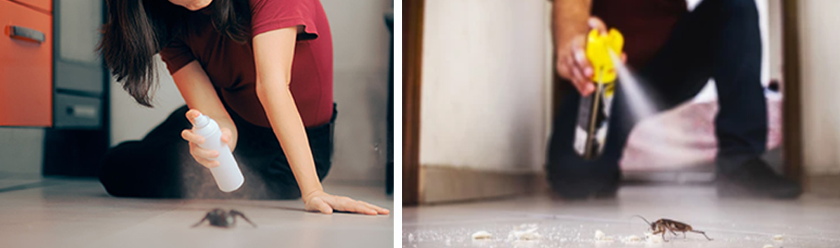 інсектицид-аерозоль