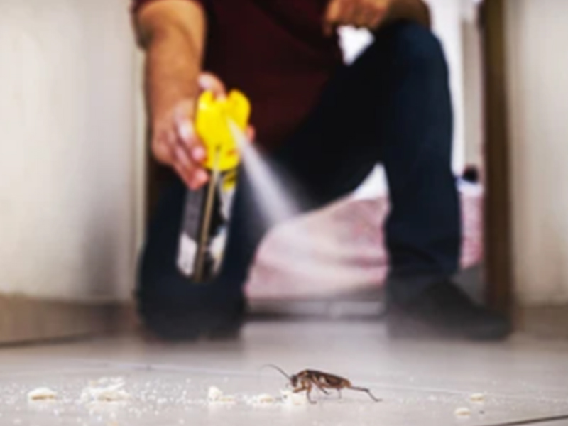 Машина для виробництва та розливу інсектицидів і рішення